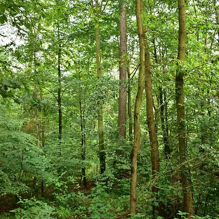 Kwiatowa 3 Vakantiehuis Sulistrowiczki