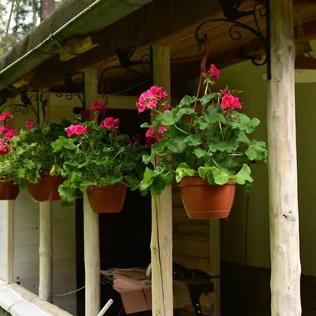 Kwiatowa 3 Vakantiehuis