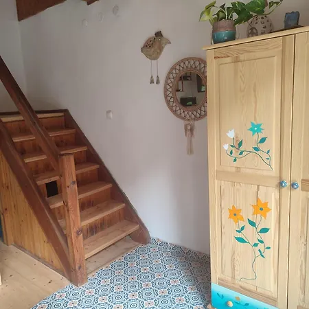 Vakantiehuis Kwiatowa 3 *