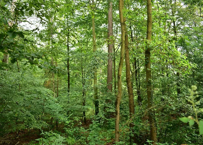 Kwiatowa 3 度假居 Sulistrowiczki