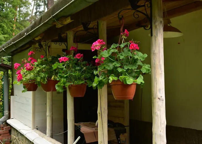 Kwiatowa 3 度假居